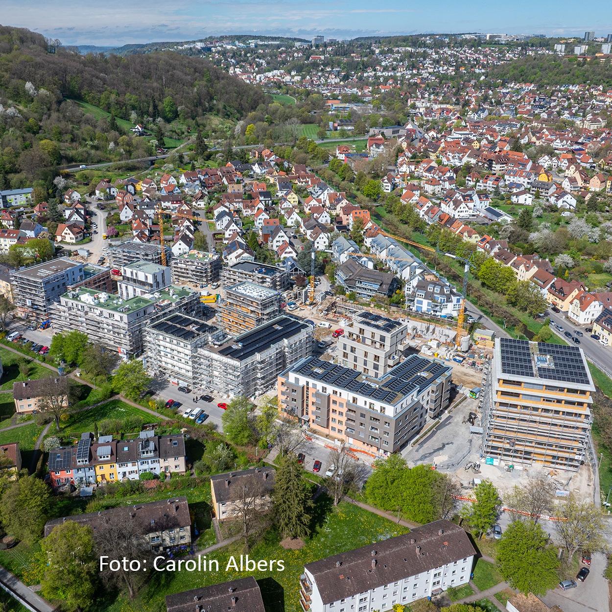Galerie_Aeulehoefe_CA_2025_A Aeulehoefe